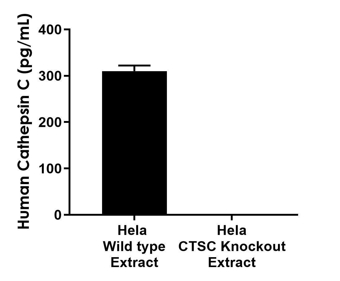 Sandwich ELISA - Human CTSC (Cathepsin C) knockout HeLa cell line (AB265822), expandable thumbnail