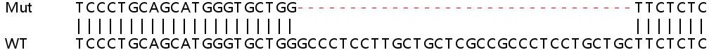Sanger Sequencing - Human CTSC (Cathepsin C) knockout HeLa cell line (AB265822), expandable thumbnail