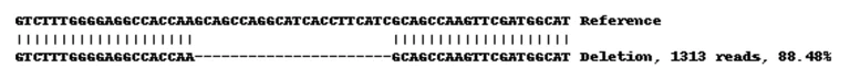 Next Generation Sequencing - Human CTSD knockout A-431 cell lysate (AB261700)