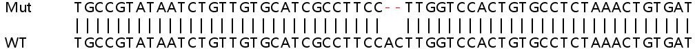 Sanger Sequencing - Human CTSL (Cathepsin L/MEP) knockout HEK-293T cell lysate (AB257213), expandable thumbnail
