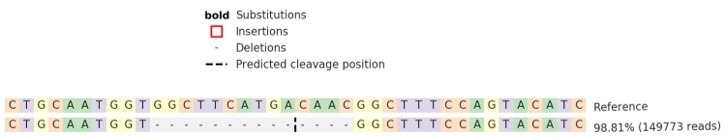 Next Generation Sequencing - Human CTSS knockout THP-1 cell line (AB275846), expandable thumbnail