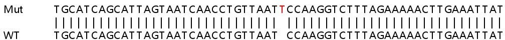 Sanger Sequencing - Human CXCL10 (IP10) knockout A549 cell line (AB266971), expandable thumbnail