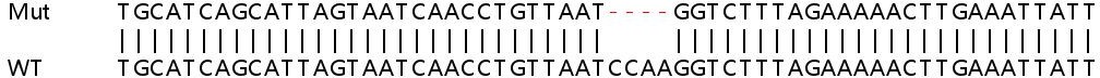 Sanger Sequencing - Human CXCL10 (IP10) knockout A549 cell line (ab266971), expandable thumbnail