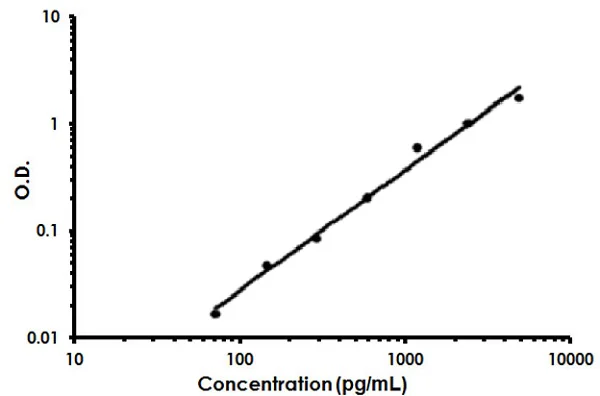 Sandwich ELISA - Human CXCL14 ELISA Kit (AB213771)