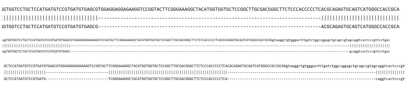 Sanger Sequencing - Human CYBC1 Knockout HCT116 cell line (AB324224), expandable thumbnail