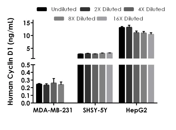 Sandwich ELISA - Human Cyclin D1 ELISA Kit (AB214571)