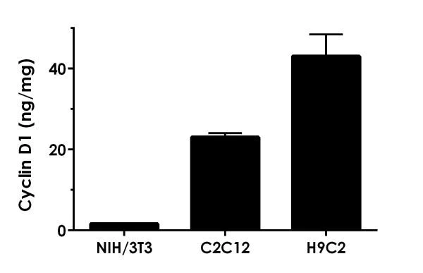 Sandwich ELISA - Human Cyclin D1 ELISA Kit (AB214571)