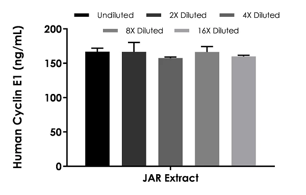 Sandwich ELISA - Human Cyclin E1 ELISA Kit (AB231929)
