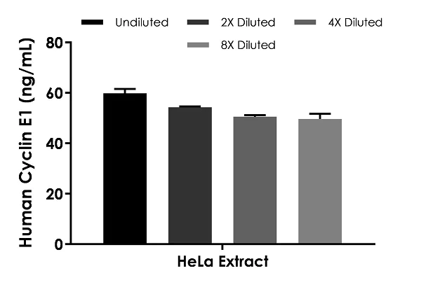 Sandwich ELISA - Human Cyclin E1 ELISA Kit (AB231929)