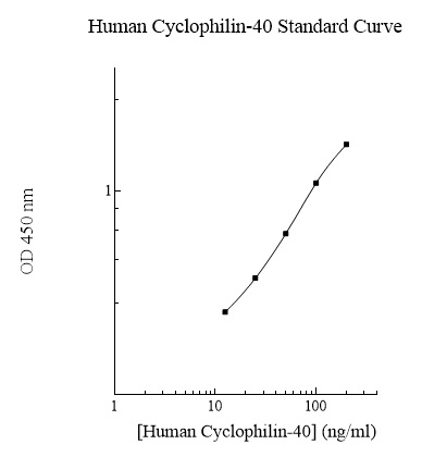 Sandwich ELISA - Human Cyclophilin 40 ELISA Kit (AB283985)