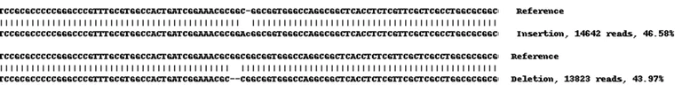 Next Generation Sequencing - Human CYP1B1 knockout A549 cell line (AB269476)