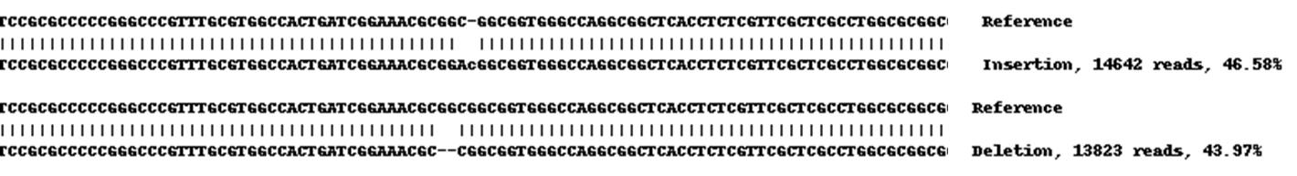 Human CYP1B1 knockout A549 cell lysate