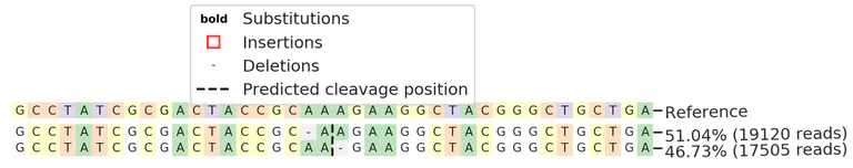Next Generation Sequencing - Human CYP24A1 knockout A549 cell lysate (AB273777)