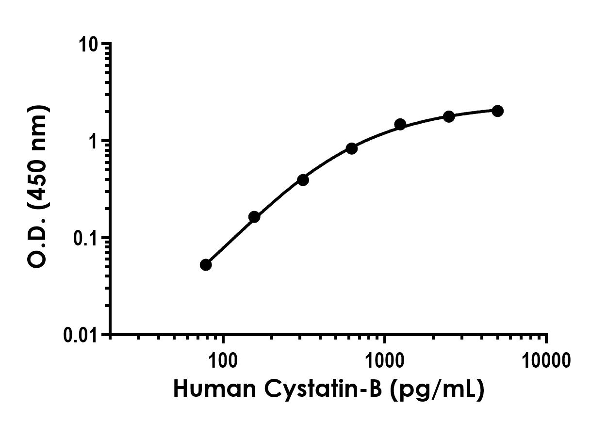 Sandwich ELISA - Human Cystatin-B Antibody Pair - BSA and Azide free (AB253812)