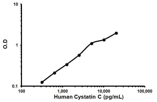 Sandwich ELISA - Human Cystatin C ELISA Kit (AB119589), expandable thumbnail