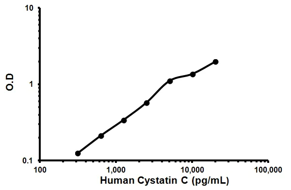 Sandwich ELISA - Human Cystatin C ELISA Kit (AB119589)