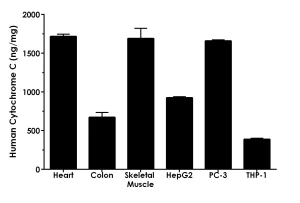 ELISA - Human Cytochrome C ELISA Kit (AB221832)