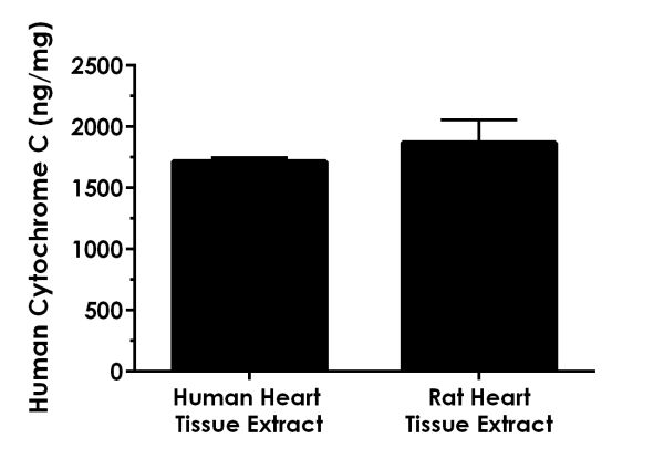 ELISA - Human Cytochrome C ELISA Kit (AB221832), expandable thumbnail