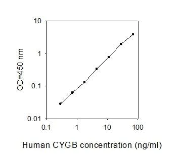 ELISA - Human Cytoglobin ELISA (AB277460)