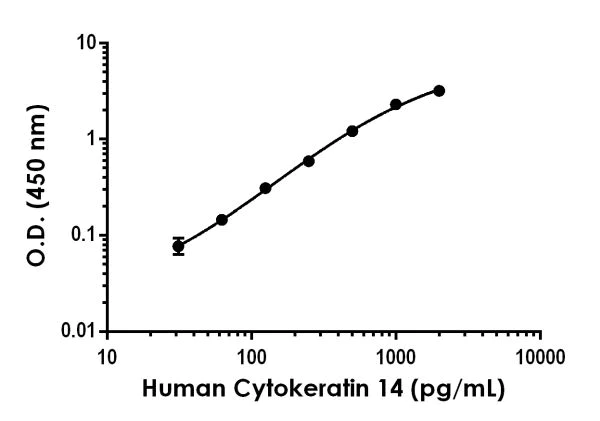 Sandwich ELISA - Human Cytokeratin 14 ELISA Kit (AB226895)