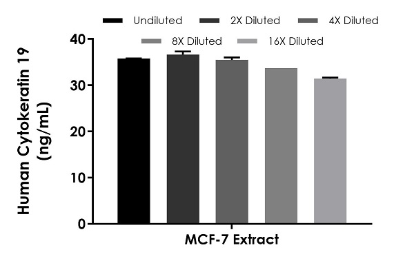 Sandwich ELISA - Human Cytokeratin 19 ELISA Kit (AB252367)