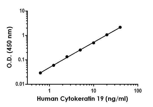 Sandwich ELISA - Human Cytokeratin 19 ELISA Kit (AB252367)