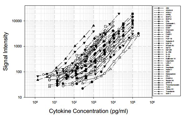 Multiplex Protein Detection - Human Cytokine Antibody Array C (40 Targets) - Quantitative (AB197440), expandable thumbnail