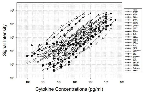 Multiplex Protein Detection - Human Cytokine Antibody Array D (40 Targets) - Quantitative (AB197441)