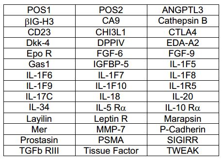 Multiplex Protein Detection - Human Cytokine Antibody Array E (40 Targets) - Quantitative (AB197442), expandable thumbnail