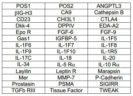 Multiplex Protein Detection - Human Cytokine Antibody Array E (40 Targets) - Quantitative (AB197442)