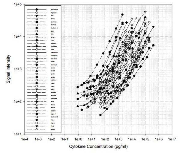 Multiplex Protein Detection - Human Cytokine Antibody Array F (40 Targets) - Quantitative (AB197443), expandable thumbnail