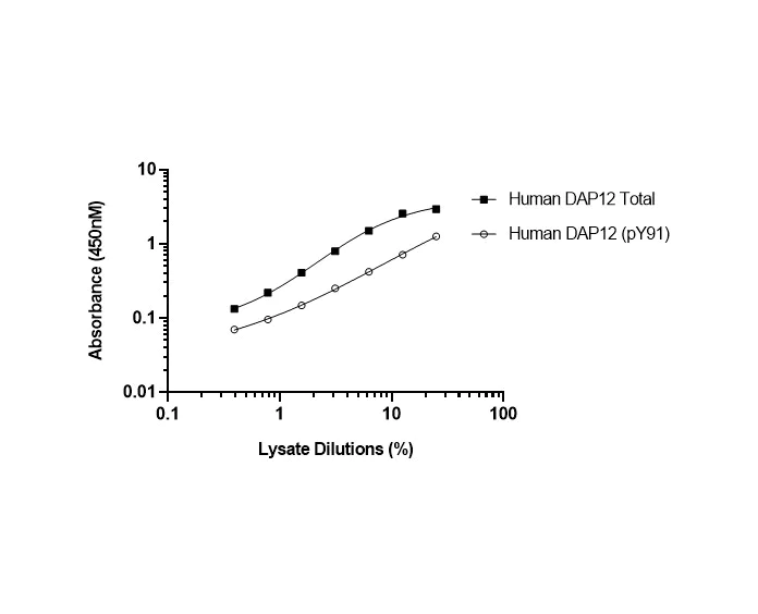 Sandwich ELISA - Human DAP12 (pY91) + DAP12 Total ELISA Kit (AB316136)