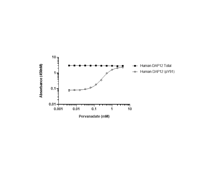 Sandwich ELISA - Human DAP12 (pY91) ELISA Kit (AB316133)