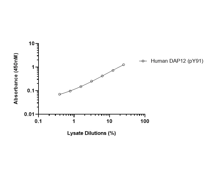 Sandwich ELISA - Human DAP12 (pY91) ELISA Kit (AB316133)