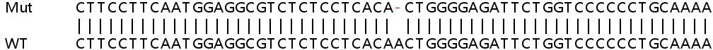 Sanger Sequencing - Human DAXX knockout HeLa cell lysate (AB257408), expandable thumbnail