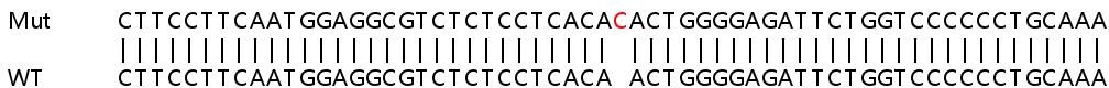 Sanger Sequencing - Human DAXX knockout HeLa cell lysate (AB257408), expandable thumbnail