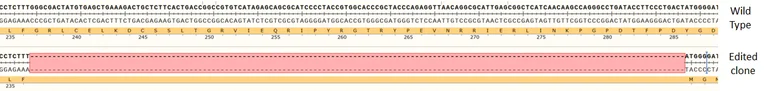 Next Generation Sequencing - Human DAXX knockout MCF7 cell line (AB287354)