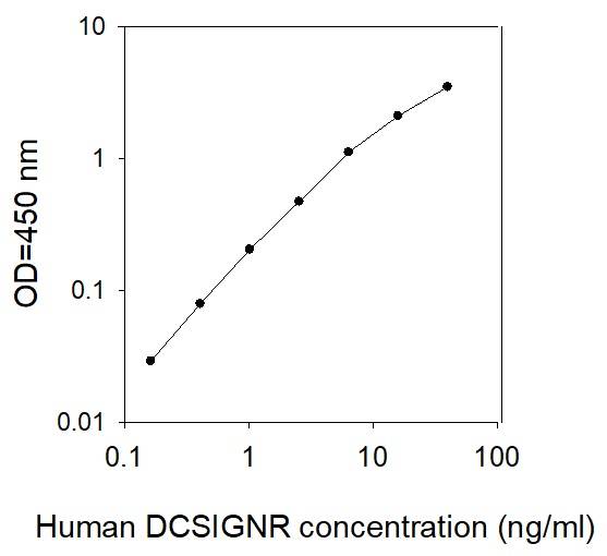ELISA - Human DC-SIGNR ELISA Kit (AB277435), expandable thumbnail