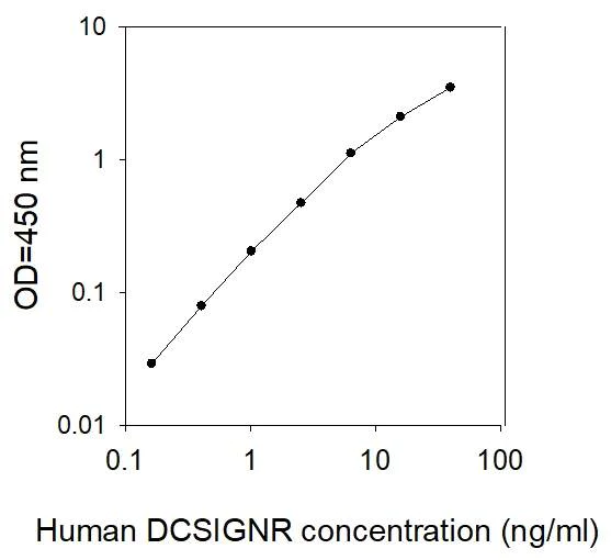 ELISA - Human DC-SIGNR ELISA Kit (AB277435)