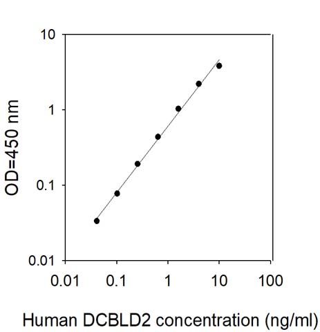 Sandwich ELISA - Human DCBLD2/ESDN ELISA Kit (AB313685)