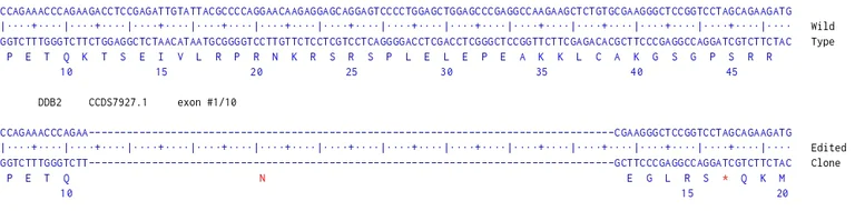 Next Generation Sequencing - Human DDB2 knockout HCT116 cell line (AB287358)