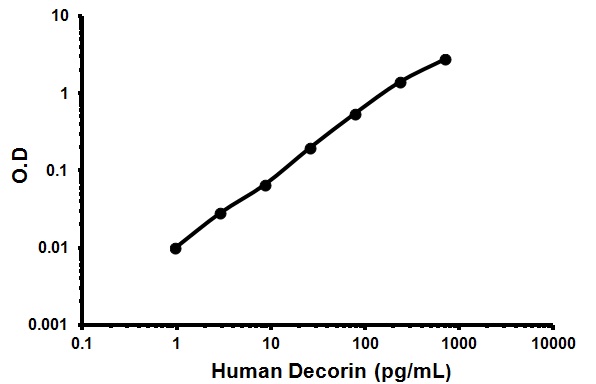 Sandwich ELISA - Human Decorin ELISA Kit (DCN) (AB99998)