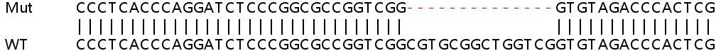 Sanger Sequencing - Human DEGS1 (MLD) knockout HEK-293T cell line (AB266481), expandable thumbnail