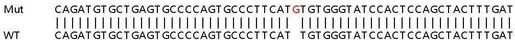 Sanger Sequencing - Human DENND4B knockout HeLa cell lysate (AB263165), expandable thumbnail