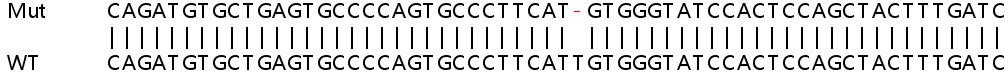 Sanger Sequencing - Human DENND4B knockout HeLa cell lysate (AB263165), expandable thumbnail
