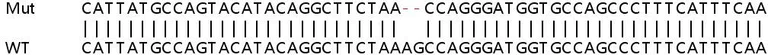 Sanger Sequencing - Human DENND5A knockout HeLa cell line (AB265772)