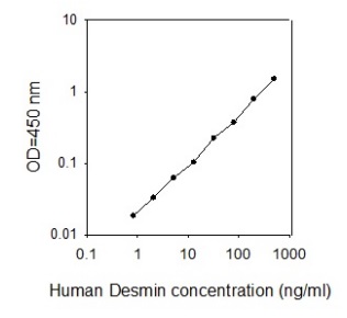 ELISA - Human Desmin ELISA Kit (AB277430), expandable thumbnail
