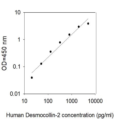 Sandwich ELISA - Human Desmocollin 2 ELISA kit (AB309442)
