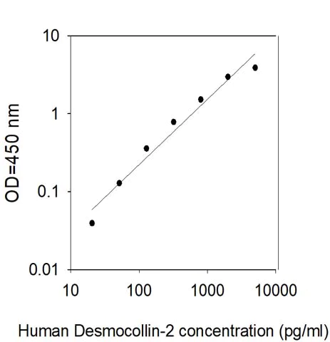 Sandwich ELISA - Human Desmocollin 2 ELISA kit (AB309442)