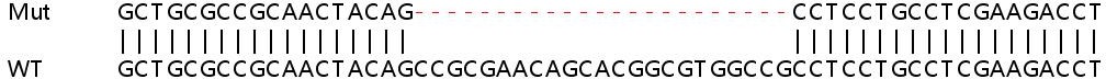 Sanger Sequencing - Human DFFA (ICAD) knockout HeLa cell line (AB265794), expandable thumbnail